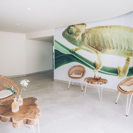 ホテル イベロスター セレクション サビラ アデヘ エクステリア 写真 Interior of the Chamäleon-Zentrum